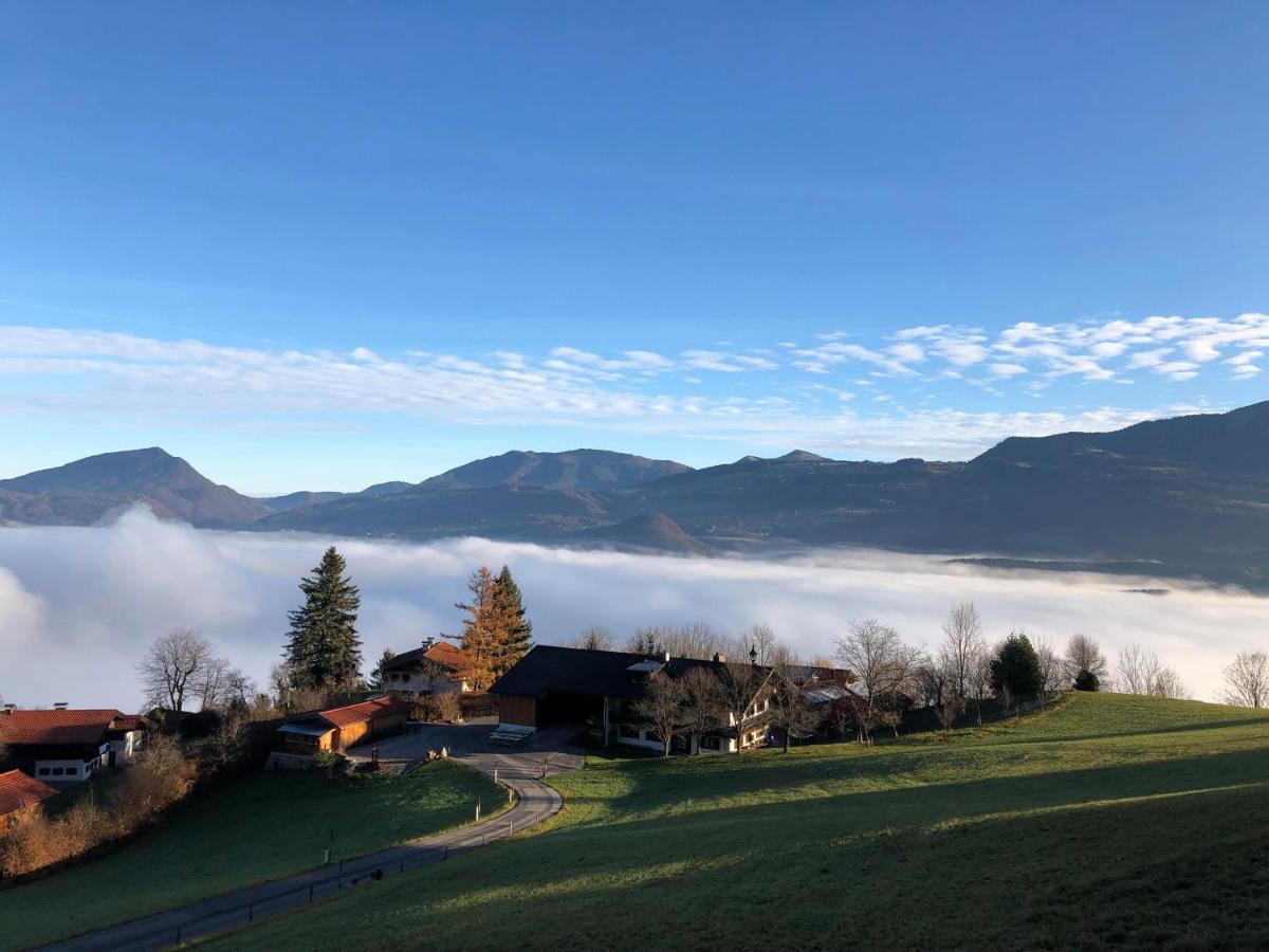 Kailgut Apartman Hallein Kültér fotó