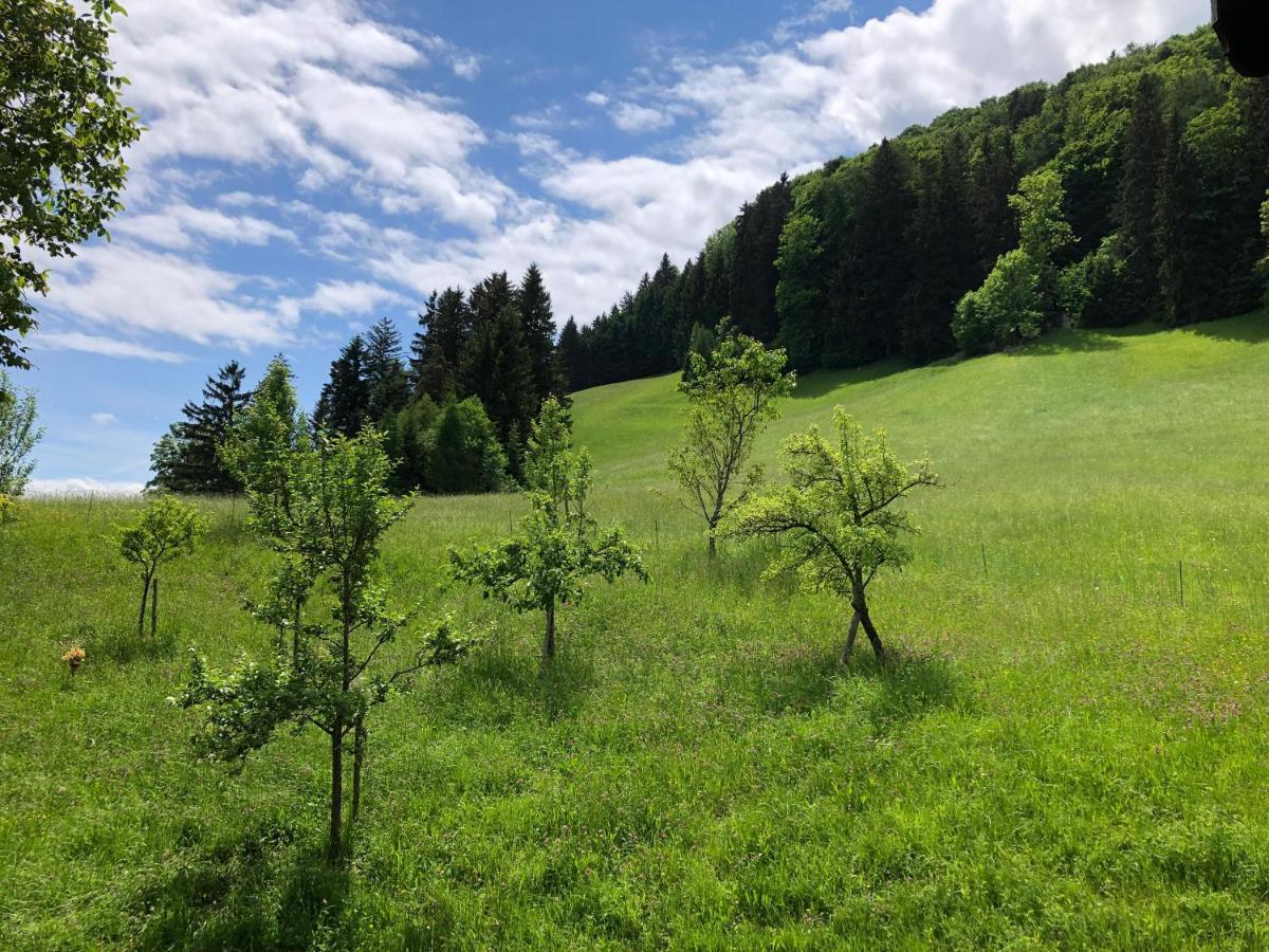 Kailgut Apartman Hallein Kültér fotó