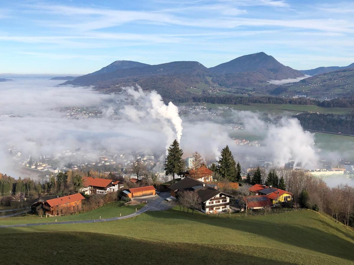 Kailgut Apartman Hallein Kültér fotó